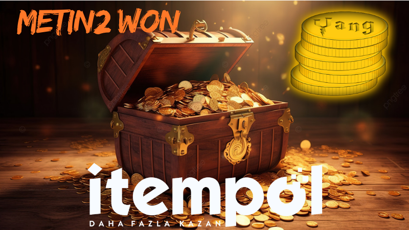 Metin2 Won: A Valuable Currency in the Game