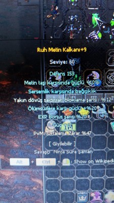 47PVM Ruh Metin Kalkanı +9