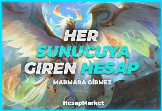 Marmara Hariç Her Servere Giren Hesap